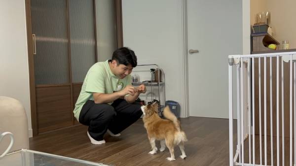 성동구는 4월부터 11월까지 '찾아가는 반려견·반려묘 홈클래스'를 운영한다.&nbsp;ⓒ성동구