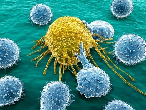 항암 치료는 화학항암제, 표적항암제, 면역항암제 등으로 발전해왔다. 화학항암제가 암세포를 직접 공격하는 방식이라면, 표적항암제는 특정 유전자 변이를 겨냥하고, 면역항암제는 인체 면역체계를 활성화해 암을 제거하도록 유도하는 것이 특징이다.