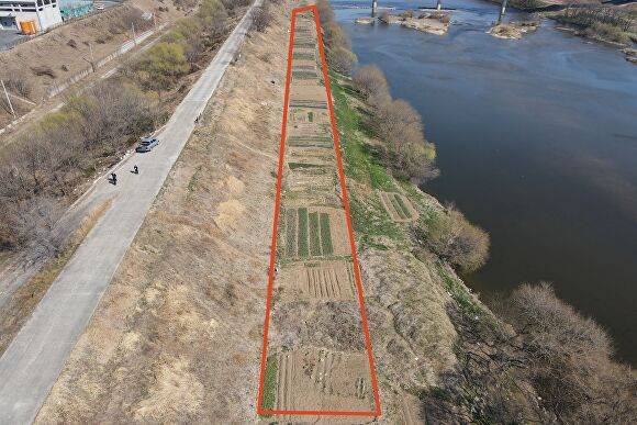 하천 불법경작지 행정대집행 사진, 다사읍 이천리 일원 [사진=달성군]