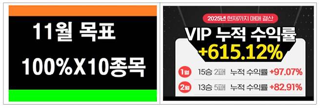 누적 수익률이 615% 에 달한다고 허위·과장 광고 한 유사투자자문업체 사례. 사진 금융위원회 제공