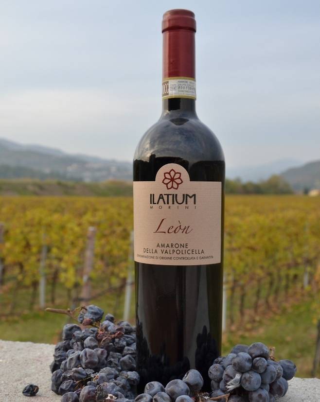 라티움 모리니 아마로네 델라 발폴리첼라 레온. 인스타그램