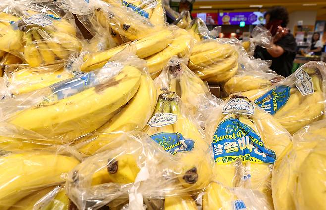 서울 시내 한 대형마트에 판매되는 바나나 등 열대과일. 기사 이해를 돕기 위한 사진. 뉴스1