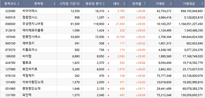 21일 코스닥 시장 상한가 종목.(출처=한국거래소)