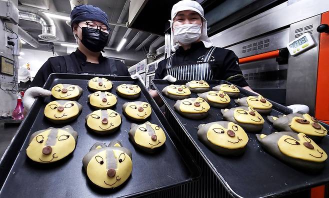 대전 오월드 동물원에서 탈출해 열흘 만에 포획된 늑대 ‘늑구’가 차츰 기력을 회복하고 있는 가운데 대전지역 유명 제과점 하레하레 도안점에 늑구빵이 등장해 인기를 끌고 있다. 김성태 객원기자