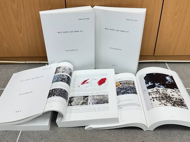 충북 영동군과 한국지질자원연구원이 2024년부터 약 2년간 공동으로 조사한 ‘일라이트 광산 매장량 조사’&nbsp;책자. 영동군 제공