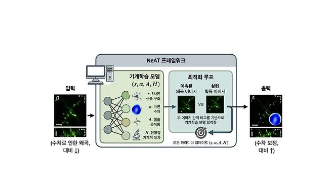 이광자 형광 현미경 통합 왜곡 보정을 위한 프레임워크  카이스트 제공
