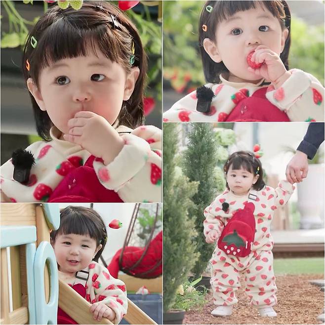 사진 제공｜KBS 2TV