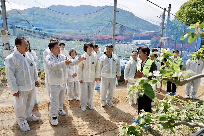 과수화상병 확산 방지를 위한 개화기 방제 현장 점검이 진행되고 있다. /경북농업기술원 제공