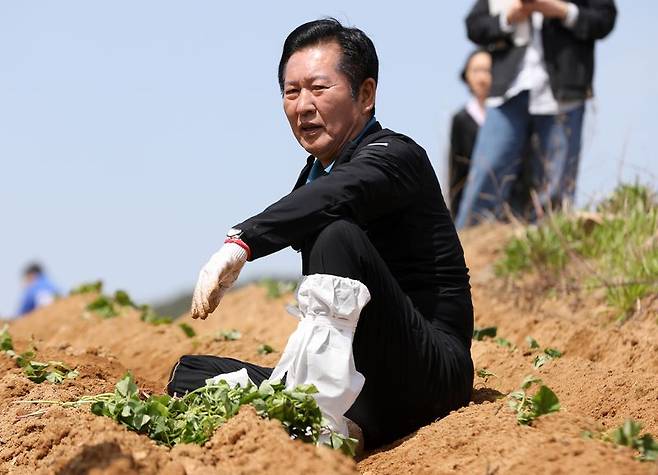 정청래 더불어민주당 대표가 21일 오후 경남 통영 욕지도 한 고구마 재배 현장을 찾아 고구마 순을 심은 뒤 휴식을 취하고 있다. 뉴스1