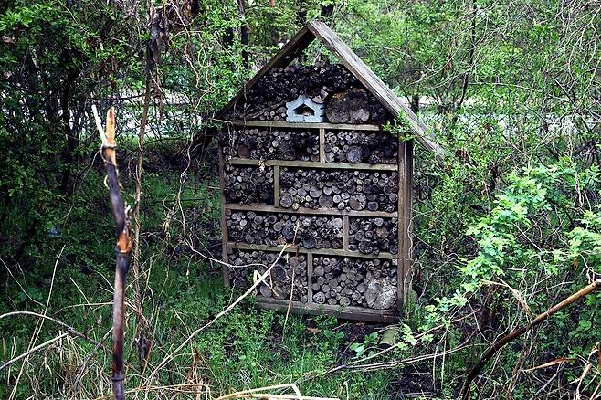 고덕수변생태공원에 사는 곤충과 거미의 산란 및 월동장소로 이용되는, 작은 생물들의 서식처로 마련한 생물아파트.