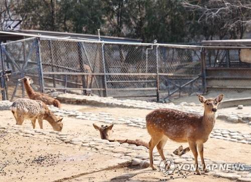 ▲ [연합뉴스 자료사진. 해당기사와 직접 관련 없음]