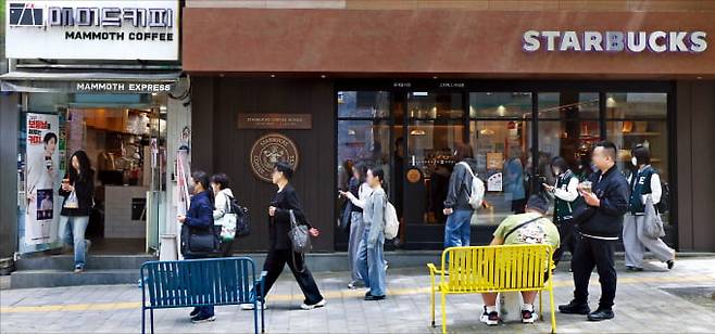 21일 서울 대현동 이화여대 앞 스타벅스 1호점 주변에 ﻿매머드커피 등 저가 커피 매장들이 밀집해 있다.  문경덕 기자