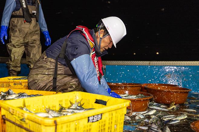정청래 더불어민주당 대표가 지난달 28일 새벽 경북 영덕 앞바다에서 조업에 참여하고 있다. 민주당 제공