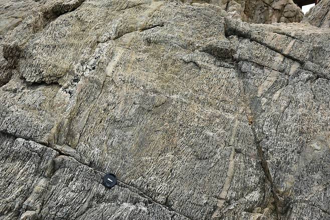 한반도 최고령 암석(토날라이트 질 편마암).