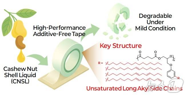 캐슈넛 껍질유를 활용한 친환경 무첨가제 생분해성 압력민감접착제 모식도.(인하대 제공. 재배포 및 DB금지)2026.4.23/뉴스1
