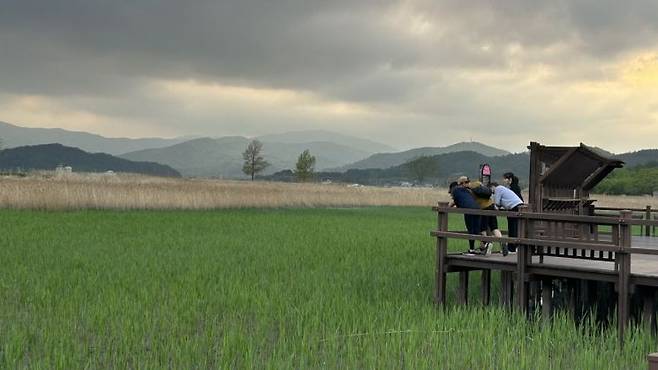 관광객들이 순천만 갈대밭 풍경을 바라보고 있다. 기후에너지환경부