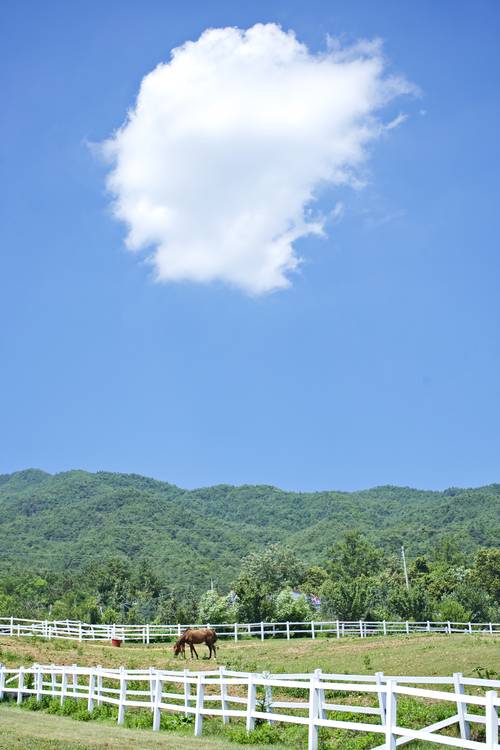 장수 장수승마체험장 전경