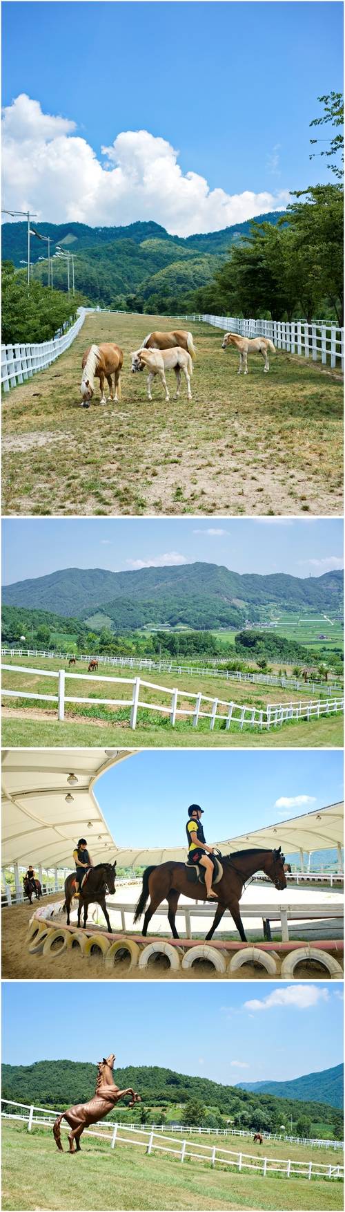 장수승마체험장의 이국적 전경