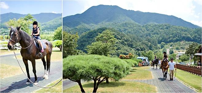 렛츠런팜 장수 전경