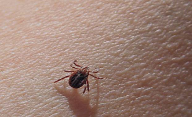 질병관리청 홈페이지 갈무리