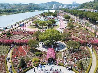 올해 장미축제는 다채로운 콘텐츠와 공연, 체험이 결합한 스토리텔링형 축제로 진행된다.