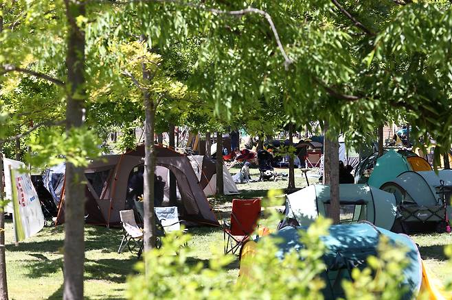 Tents are seen installed beneath trees at Mangwon Hangang Park on May 9, 2021. [YONHAP]