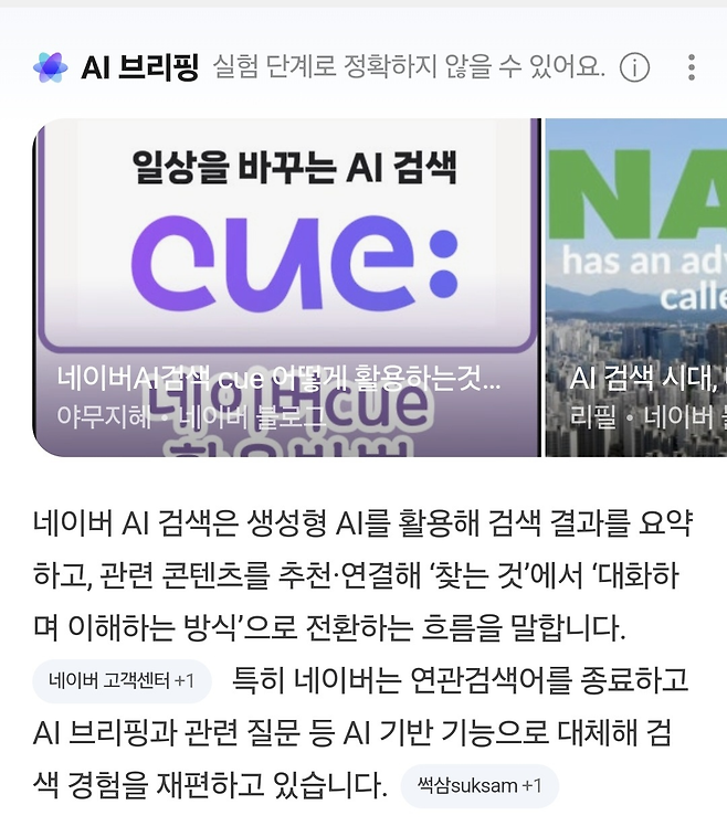 네이버 AI 검색 화면 예시 [네이버 화면 갈무리]