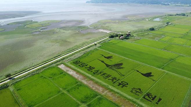 [순천=뉴시스] 순천만습지가 보이고 있다. (사진=순천만 제공) 2026.04.23. photo@newsis.com *재판매 및 DB 금지