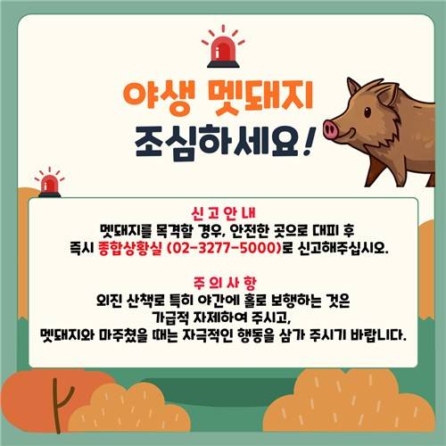 이화여대 캠퍼스 '교내 멧돼지 출몰 주의 안내' 공지 [이화여대 기숙사 홈페이지 캡처. 재판매 및 DB 금지]