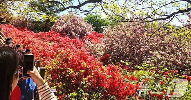 완연한 봄 날씨를 보인 24일 전북 전주시 완산공원 꽃동산에 상춘객들의 발길이 이어지고 있다. 2026.4.24 ⓒ 뉴스1 임충식 기자