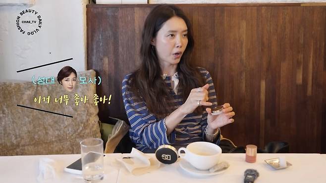 유튜브 〈채정안 TV〉