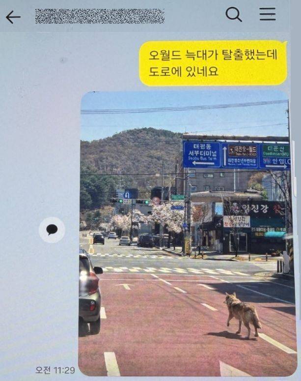 /사진=대전경찰청 제공