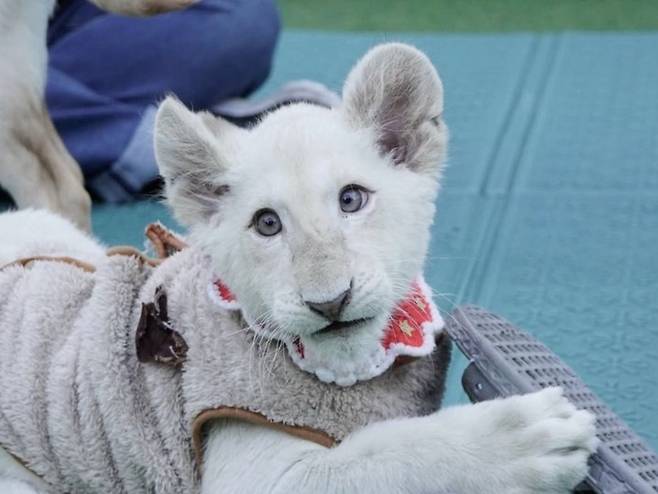 사진=대전 아쿠아리움 제공