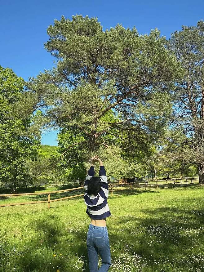 송혜교 사회관계망서비스