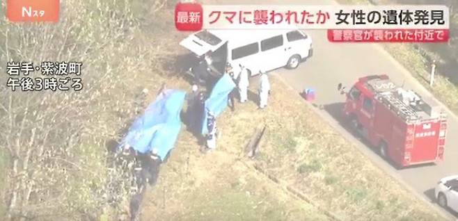 일본 이와테현 시와정에서 곰 습격으로 추정되는 여성 시신이 발견된 현장 인근에서 관계자들이 수색 및 조치를 벌이고 있다. TBS 화면 갈무리