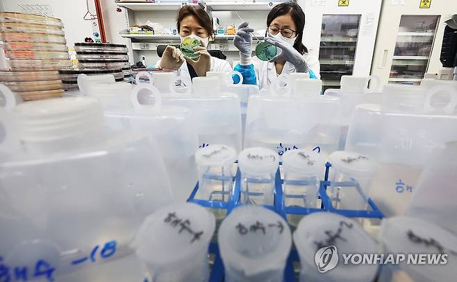 비브리오패혈증 감염 주의 [연합뉴스 자료사진]