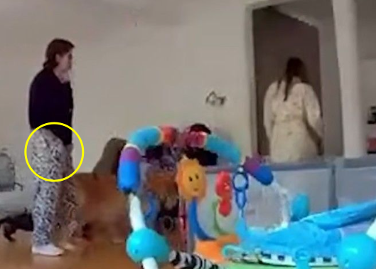 ⓒadn노티시아스 유튜브 영상 갈무리