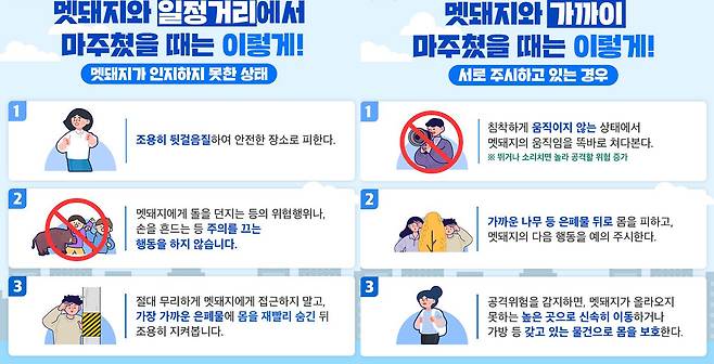 서울시 홈페이지