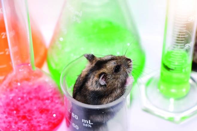 게티이미지뱅크 제공