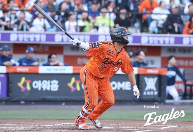 한화 이글스 제공