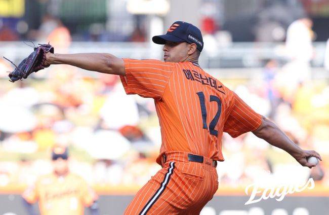 한화 이글스 제공