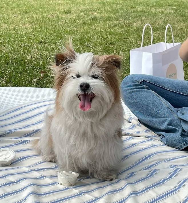 봄이의 공개구혼 그 결과는 봄이 인스타그램에서 확인할 수 있다(인스타그램 ohmy_bom 제공). ⓒ 뉴스1