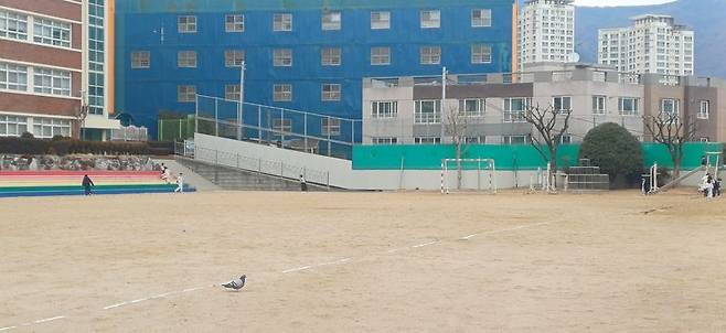 점심 시간대 부산의 한 초등학교 운동장이 썰렁하다. 사진=백창훈 기자