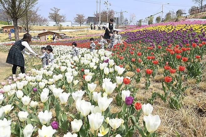 대구 달성군 세천늪테마정원에서 아이들이 보육교사와 함께 산책하고 있다. [사진 달성군]