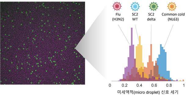 미세 액적 기반 키네틱 바코딩을 이용한 다중 바이러스 검출. KAIST