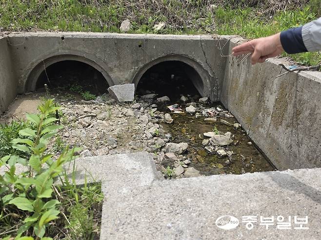 내촌면 신팔리106-4번지 일대 국도47호선 도로를 타고 흐르는 배수관이 막혀 있다. 김두현 기자
