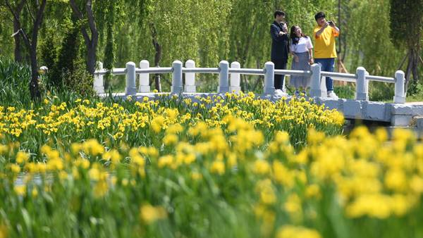 거창군이 '2026 거창에 On 봄축제'를 통해 체류형 관광도시로의 전환에 본격 나선다. 사진은 거창 창포원 관광객들이 다리 위에서 풍경을 만끽하고 있다. / 거창군