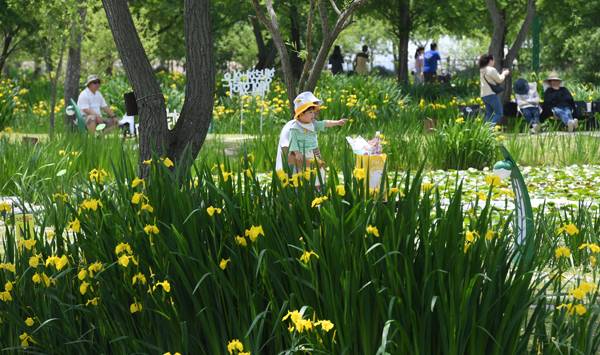 아이와 함께 창포원을 찾은 관광객의 모습. / 거창군