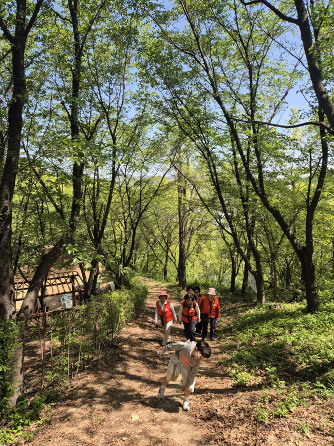 ▲ 26일 경북 의성군 구봉산 일대에서 열린 의성군 의성읍 상인회 산행·야유회에서 회원과 가족들이 숲길을 오르고 있다. 이날 산행은 출범 이후 첫 단합행사의 하나로 진행됐으며, 참가자들은 약 1시간 동안 산행과 주변 환경정비 활동을 함께했다. 의성삼거리기름방 제공.