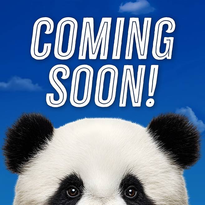 미국 애틀란타 동물원이 24일 페이스북에 판다 신규 도입 소식을 전하면서 올린 이미지./페이스북